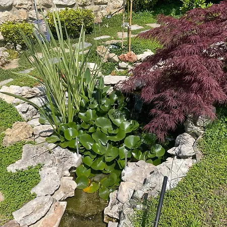 Appartamento рак *