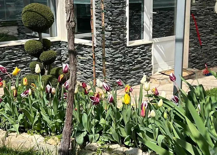 рак Διαμέρισμα Βάρνα