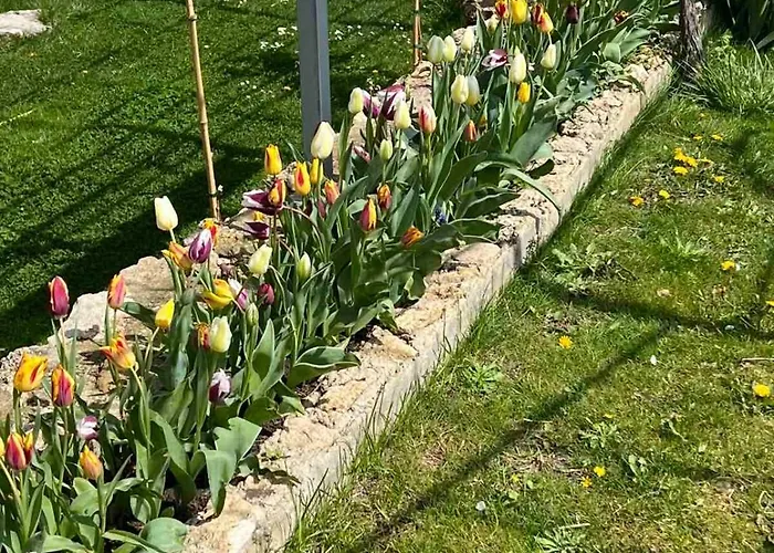 рак Διαμέρισμα