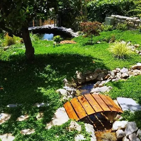 рак Apartment Varna