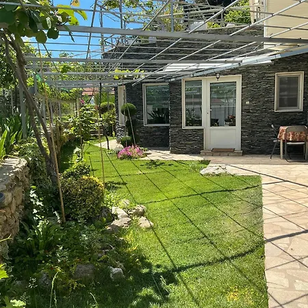 рак Apartment Varna